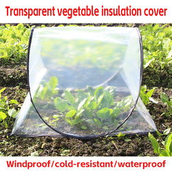 Instant Set Up Plant Protective Cover Foldable Mini Greenhouse Tent For Vegetables Flowers Seedling Cold Frost Protection