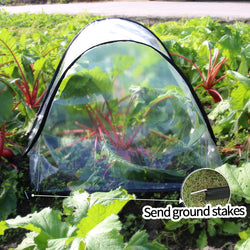 Instant Set Up Plant Protective Cover Foldable Mini Greenhouse Tent For Vegetables Flowers Seedling Cold Frost Protection